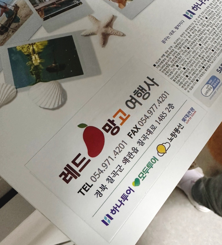 레드망고여행사 이미지