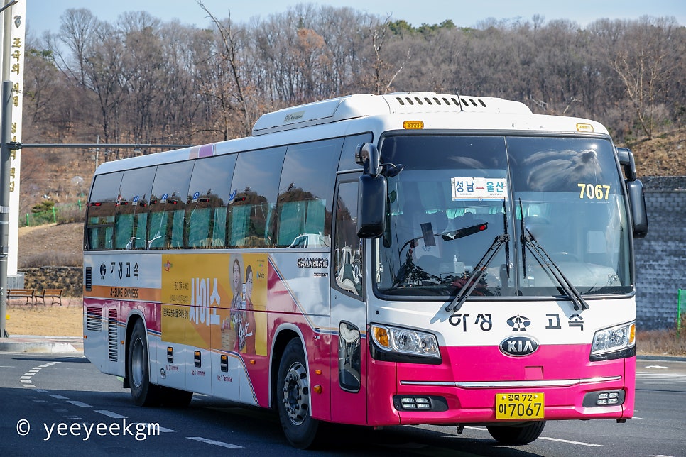 성남아성 이미지