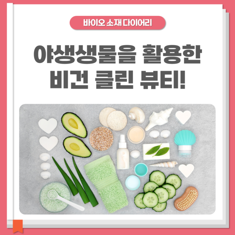 자연환경클린 이미지