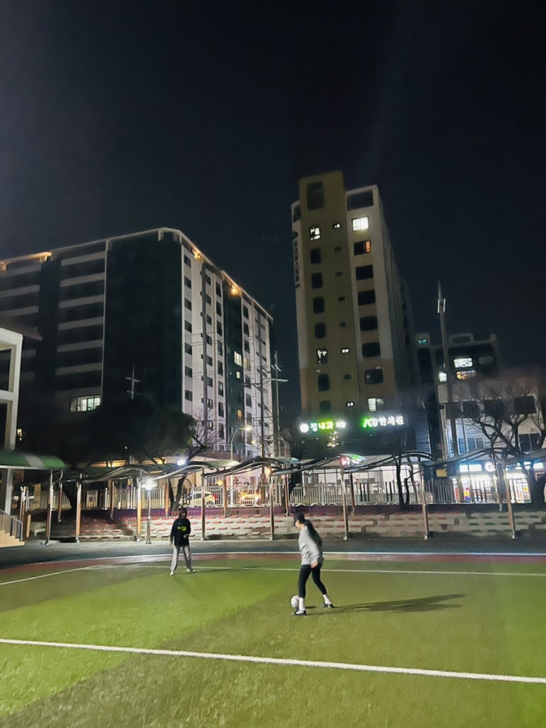 삼치회사랑 이미지
