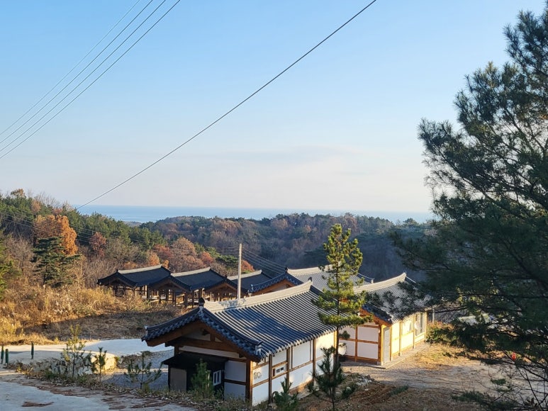 영덕한옥마을 펜션 이미지