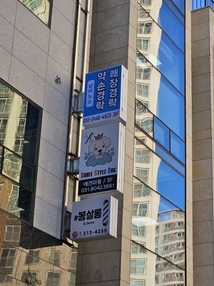 약손월드 이미지