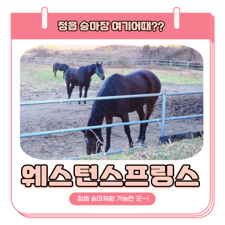 웨스턴스프링스 이미지