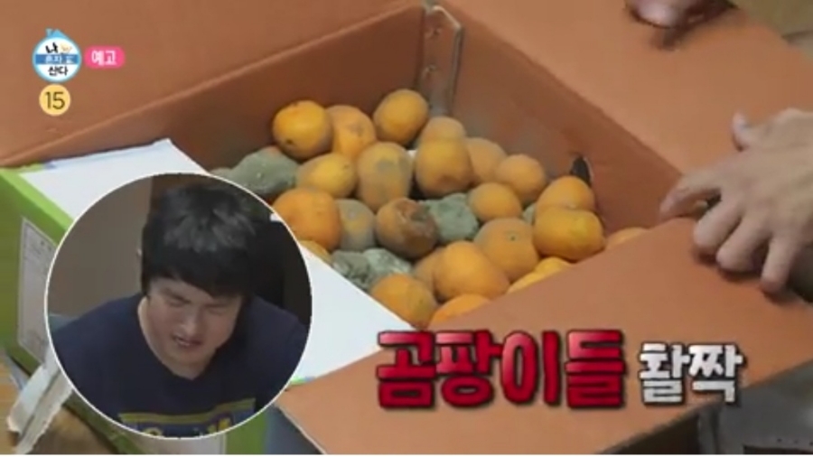 레시피(주) 이미지