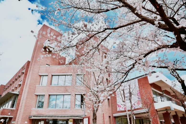 서울지방고용노동청서울북부지청 이미지