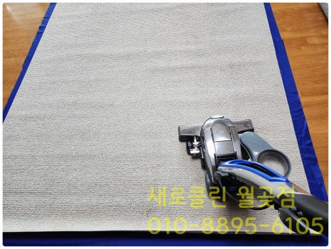 롤로안산 이미지