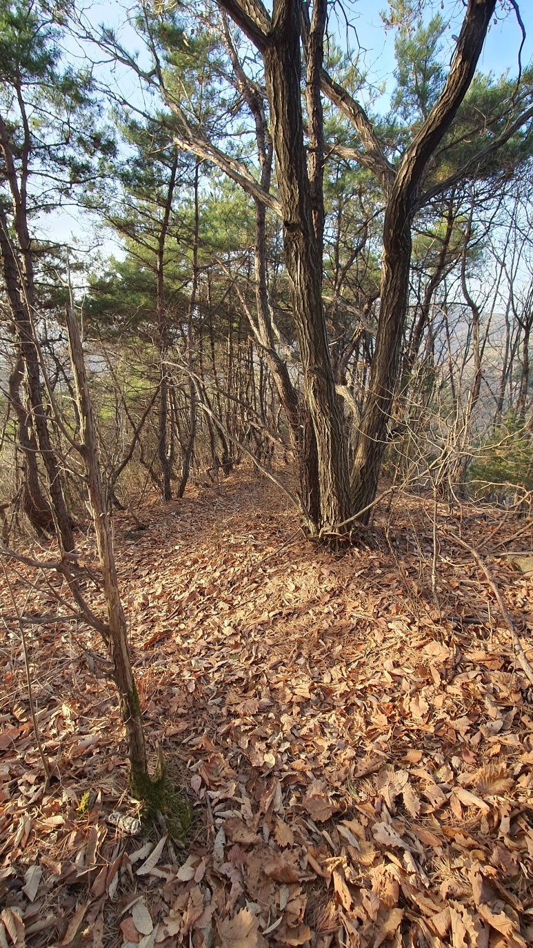 용진 저수지 이미지