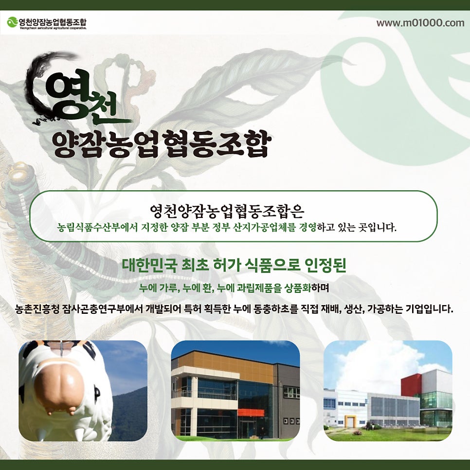 영천양잠협동조합 이미지