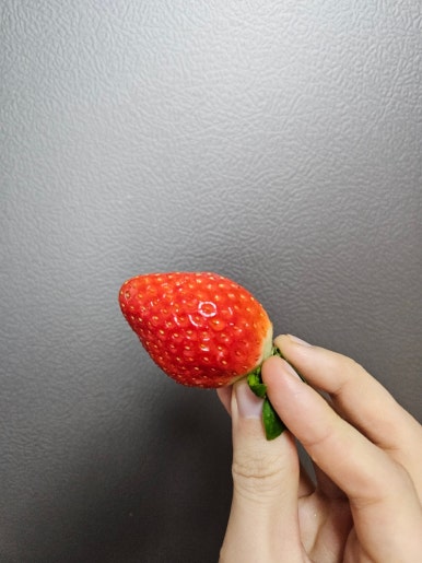자연농원옥길럭키점 이미지