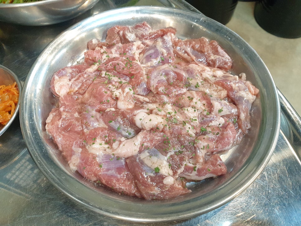 돗배갈매기 이미지