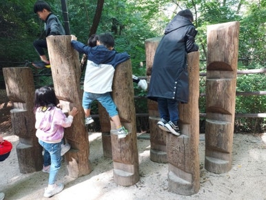 힐링숲협동조합 이미지