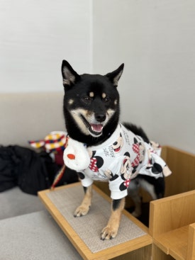 띵킹커피 이미지