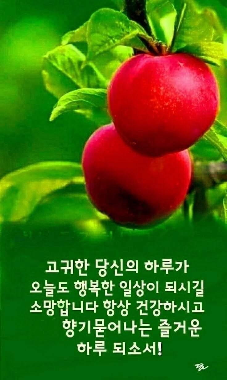 한정식뷔페 밥사랑 계절반찬전문점 이미지