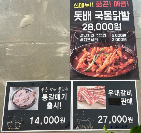 돗배갈매기 이미지