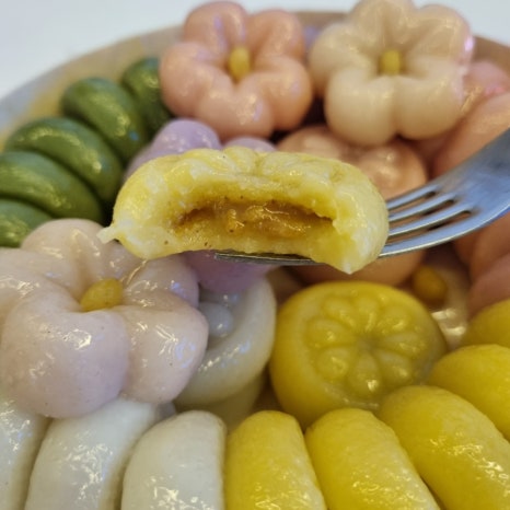 달달구리소담 이미지