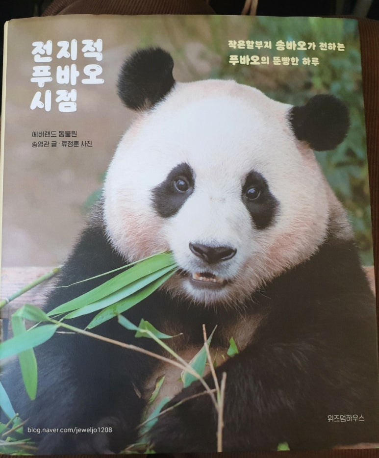 셀러바오 이미지