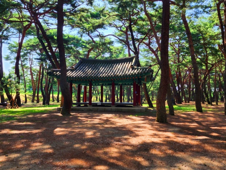 송림제과 이미지