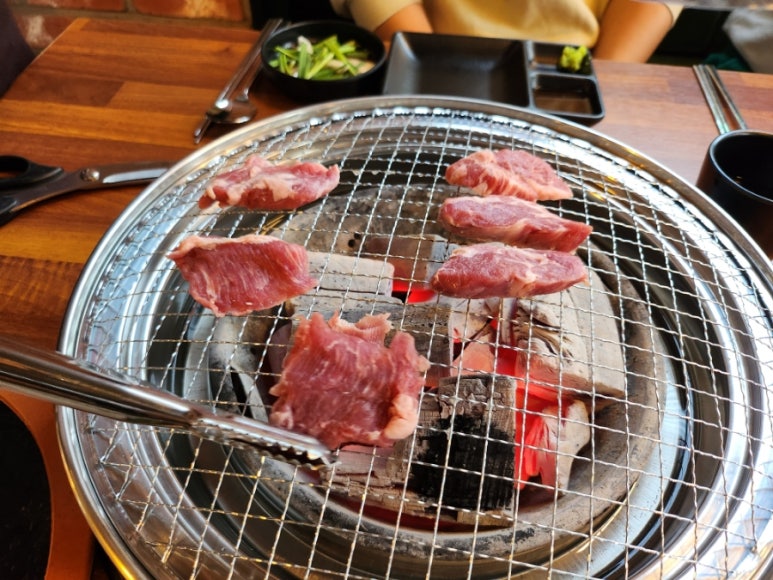 더미양 이미지