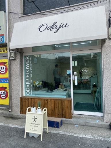 오다주 이미지
