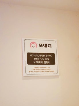 푸돼지 이미지
