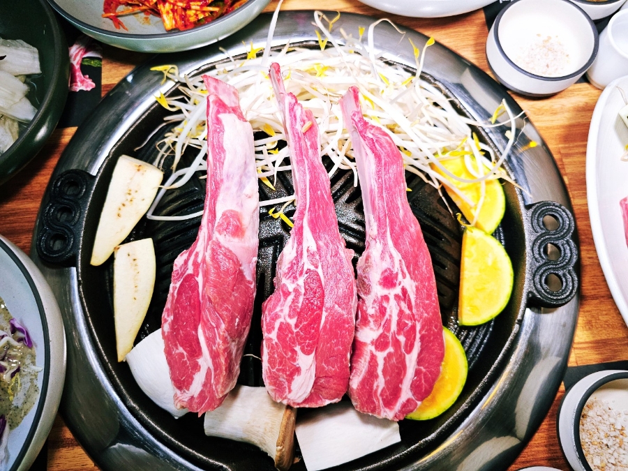 파누스 이미지