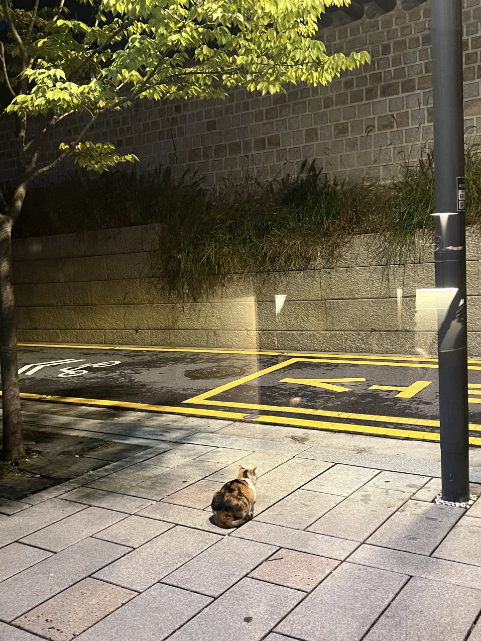 (주)빵굽는친구들 이미지
