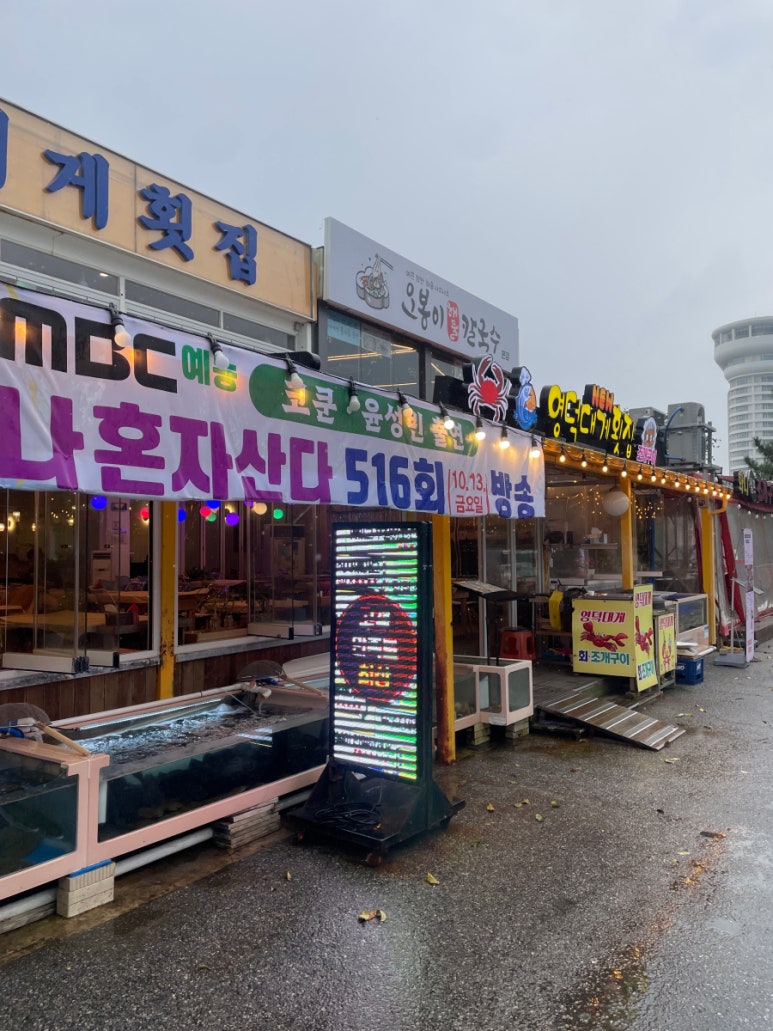영덕에산다 이미지