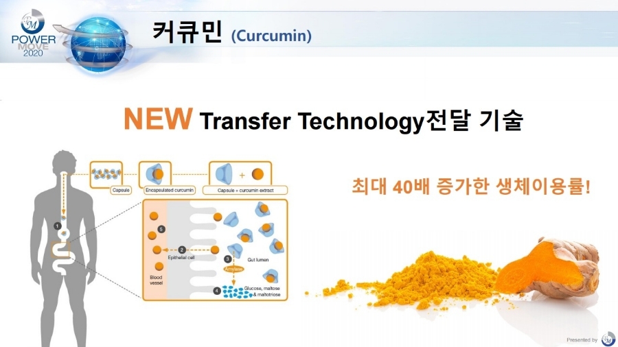 성술 이미지