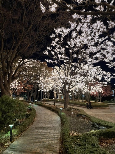 남산코너 이미지