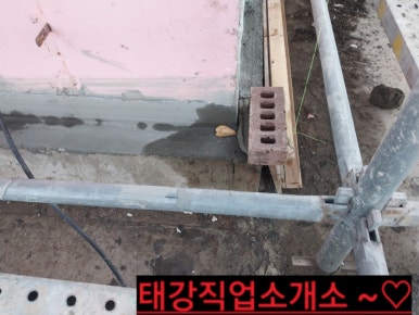 칼라직업소개소 이미지