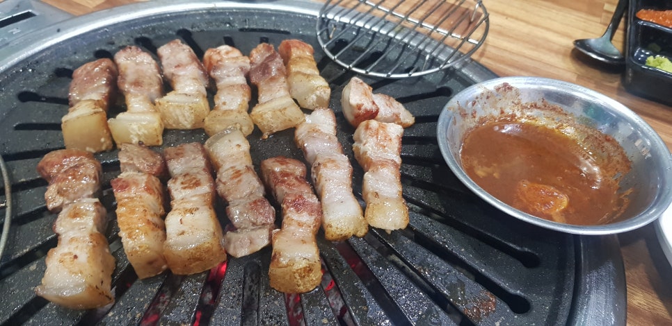 니가사는고기 이미지