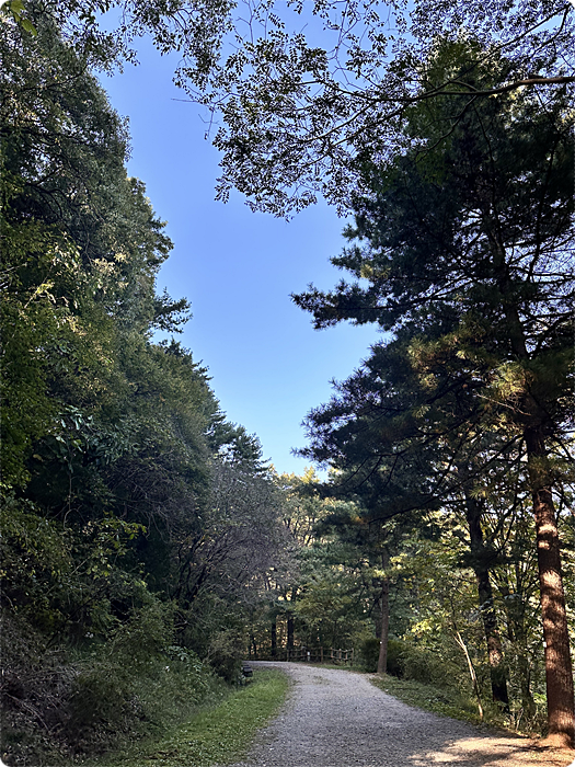 장인더 이미지