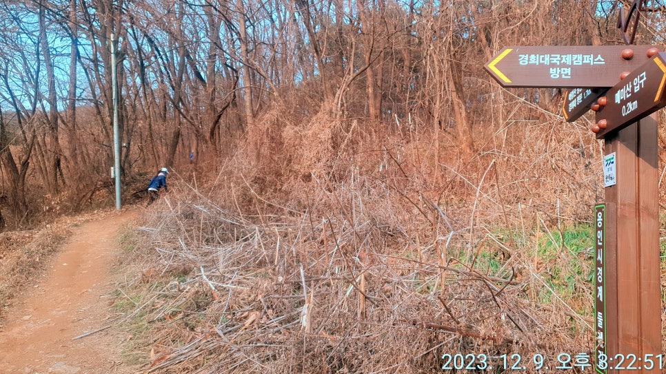 아람향 이미지