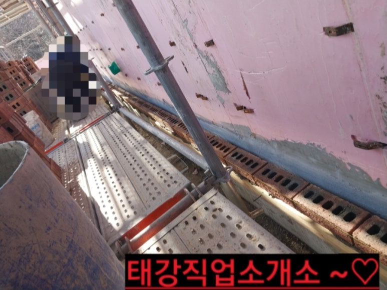 칼라직업소개소 이미지