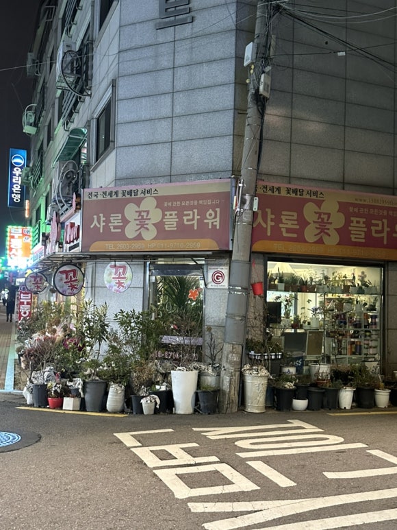 샤론꽃화원 이미지