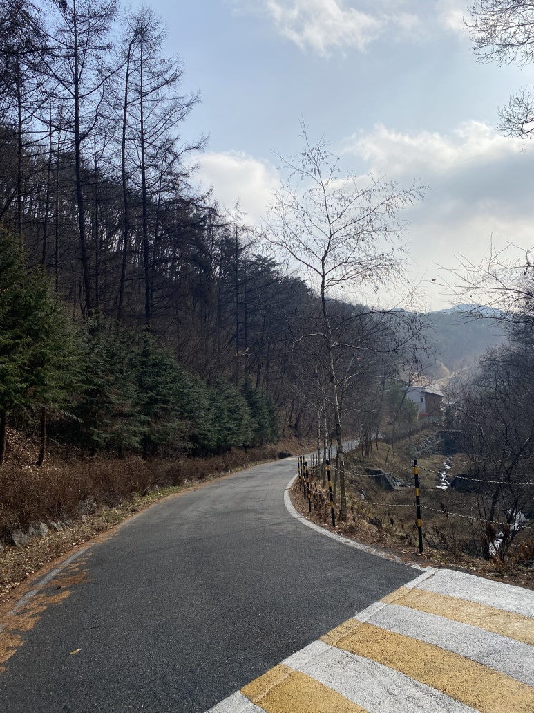 생거진천 유아숲체험원 이미지