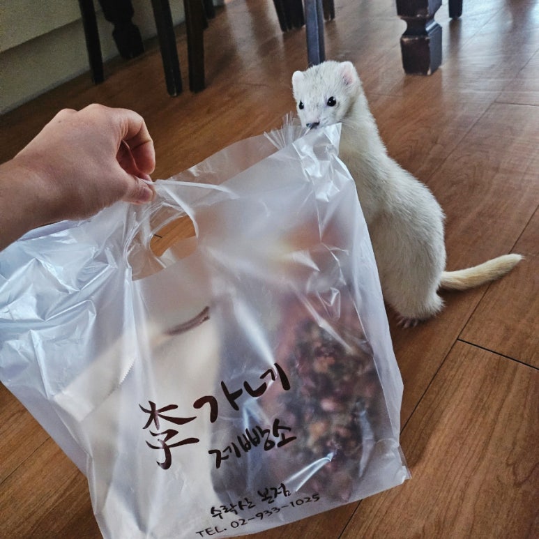 이가네제빵소 이미지