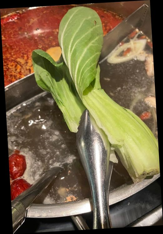 제이센스 이미지