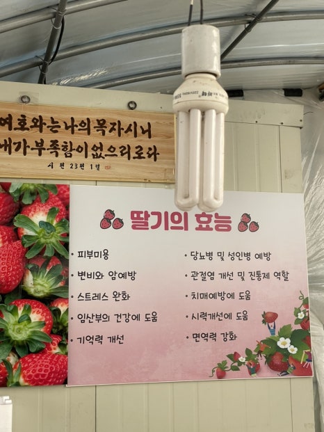 소야농장 이미지