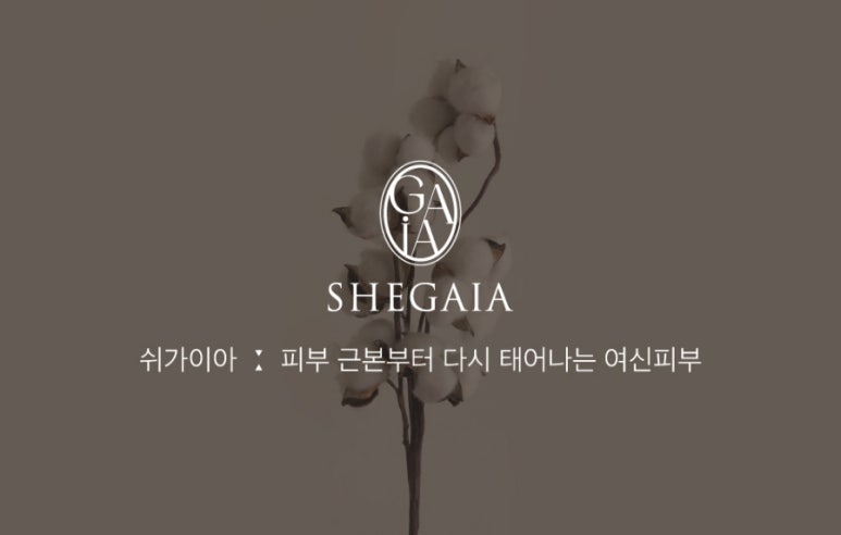 원탑공구 이미지