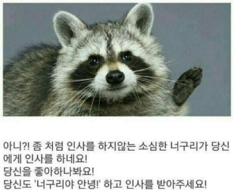홍두깨 이미지