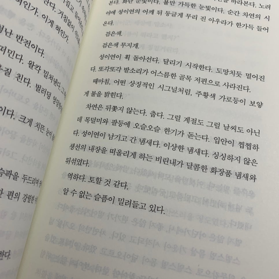 성이연 이미지