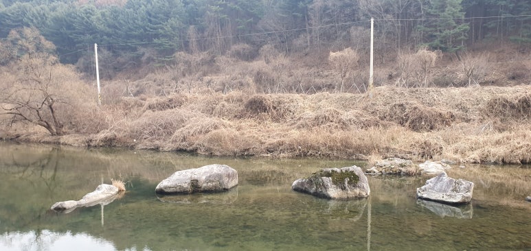 탐선계곡 유원지 이미지
