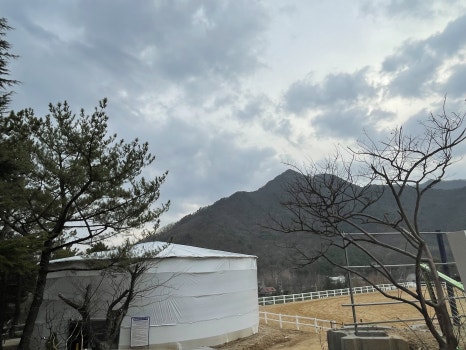 유성승마장 이미지