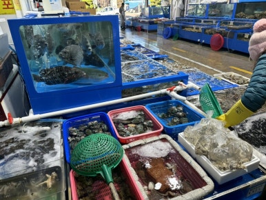 씨알수산 이미지