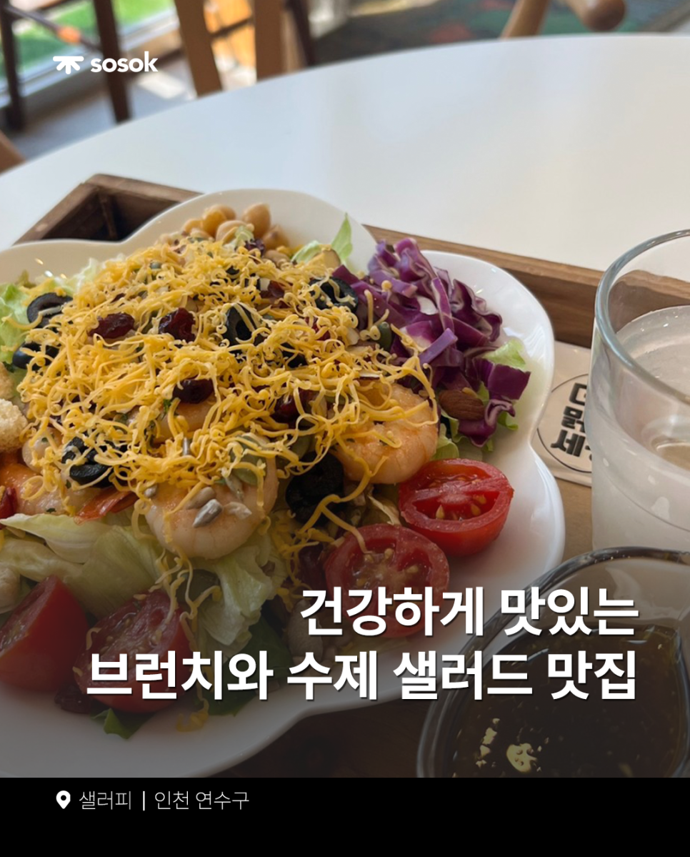 샐러피 이미지