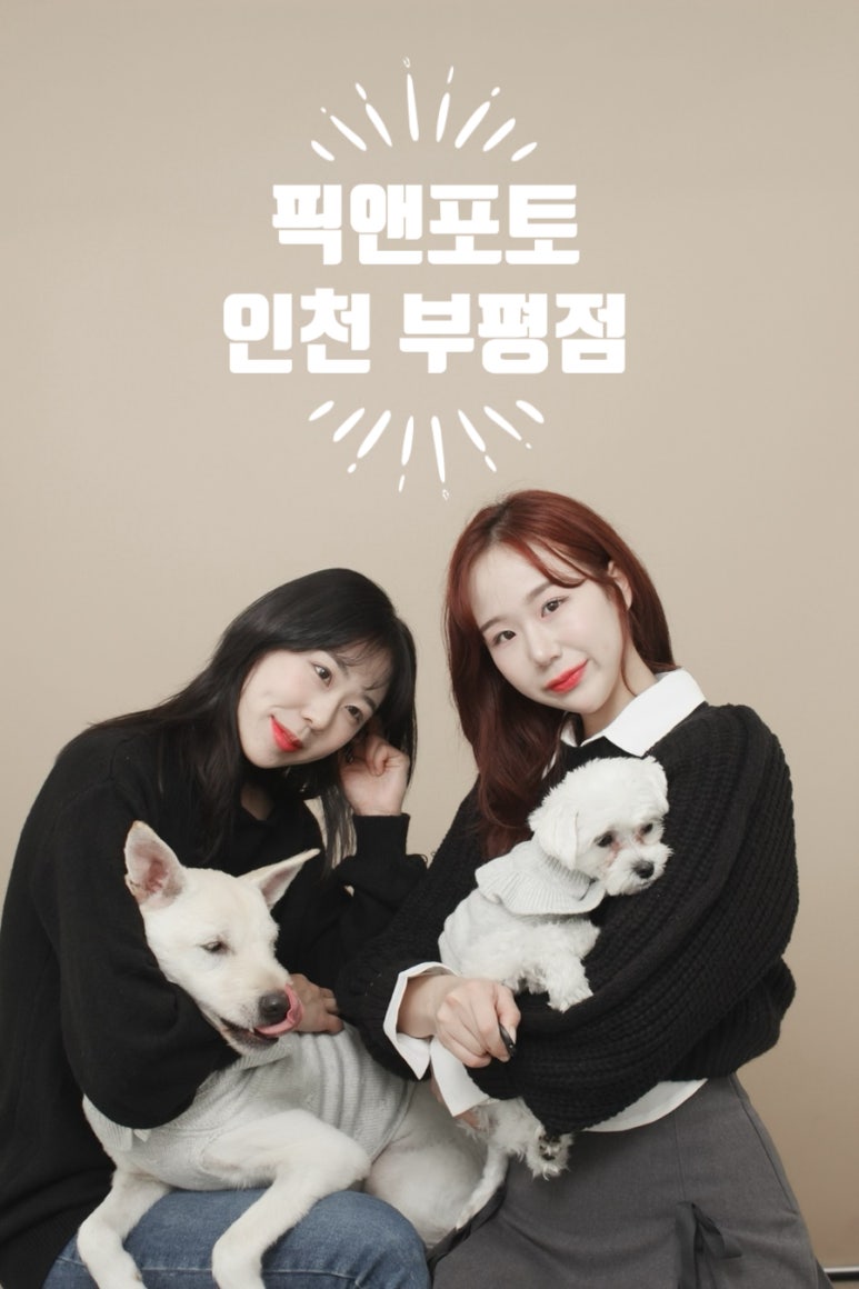 픽앤포토 이미지