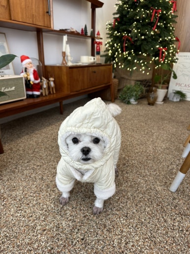 오브더데이 이미지