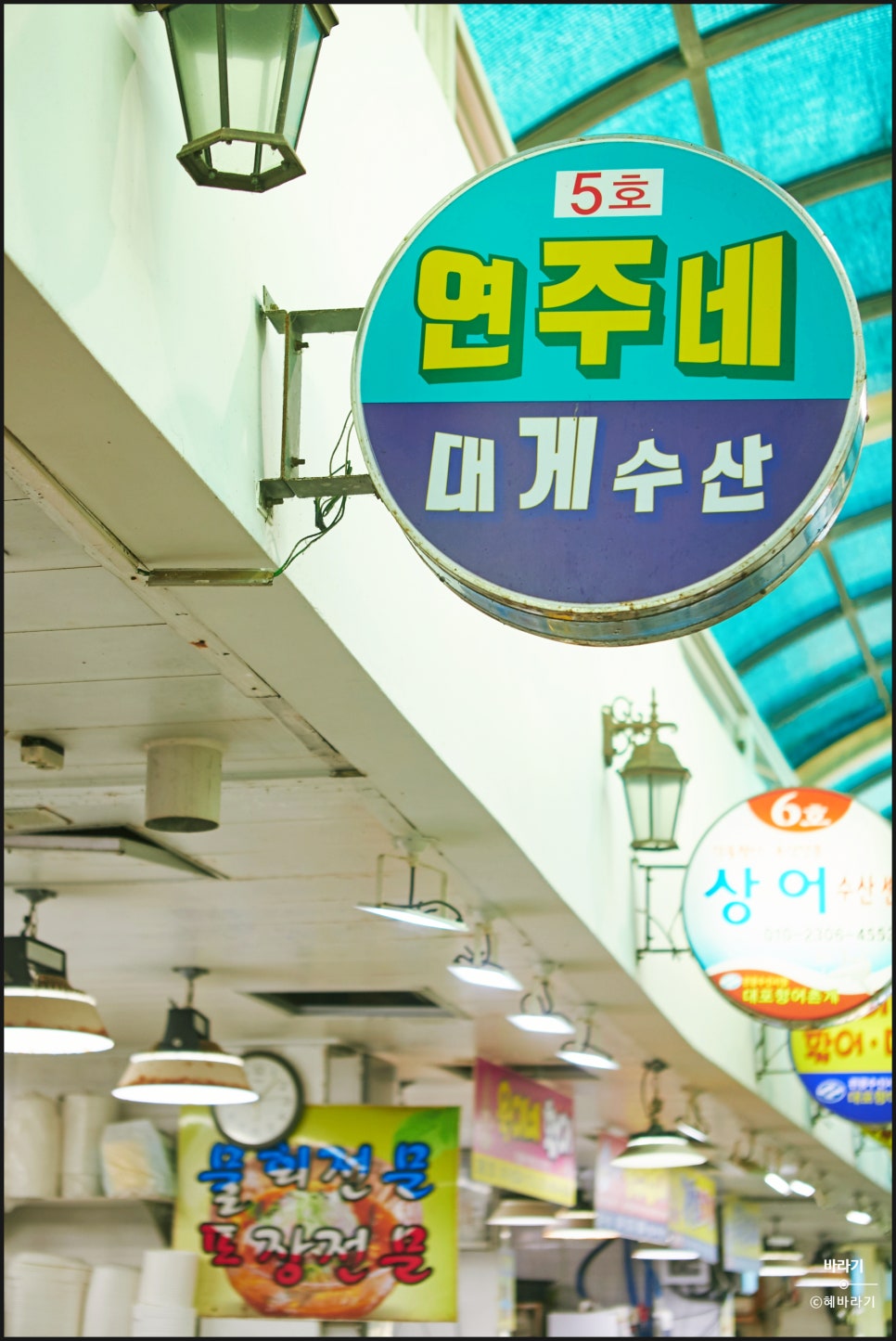 연주네 이미지