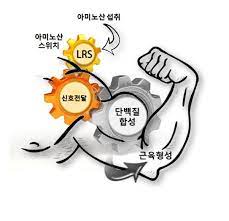 디오엠 이미지